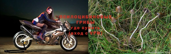 mix Козловка