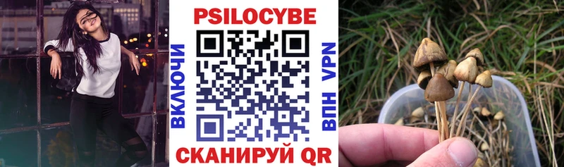 Купить закладки  Лакинск  Галлюциногенные грибы мухоморы 